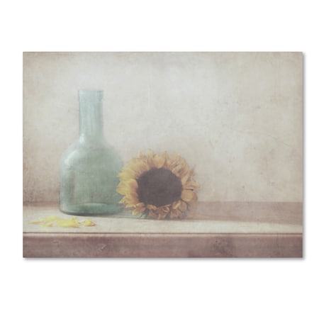 Delphine Devos 'Sunflower' Canvas Art,24x32